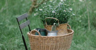 <em>Edit Promo Post</em> Upcoming Latah County Ladies Homestead Gatherings!